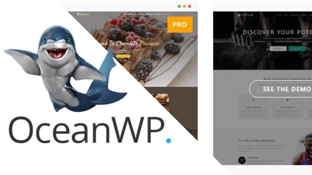 5 best wordpress theme for amazon affiliate marketing-OceanWP 