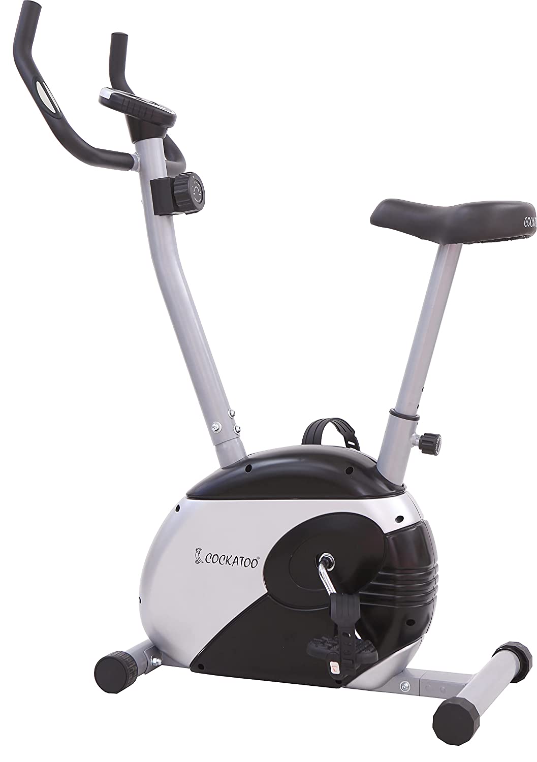Best Cockatoo Exercise Bike For Home