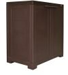 Cello Novelty Plastic Compact 2 Door Cupboard - Ice Brown