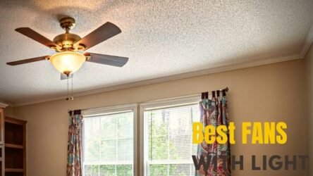 Best Ceiling Fans With Lights In India