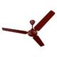 Best Bajaj Frore Brown Ceiling Fan