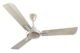 Best Havells Ambrose Energy Saving Ceiling Fan