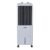 Best Symphony Diet 12T Personal Tower Air Cooler for Home